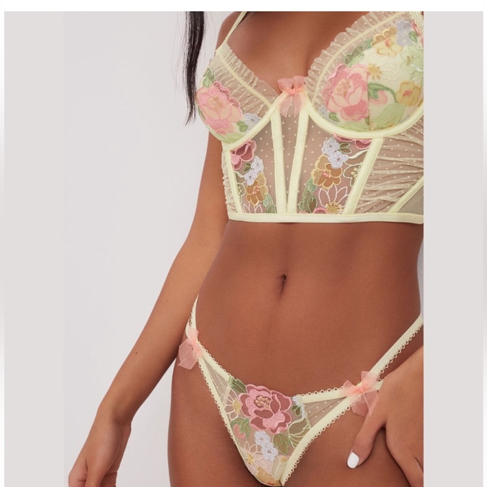 For love and lemons Luella Bustier and panty set